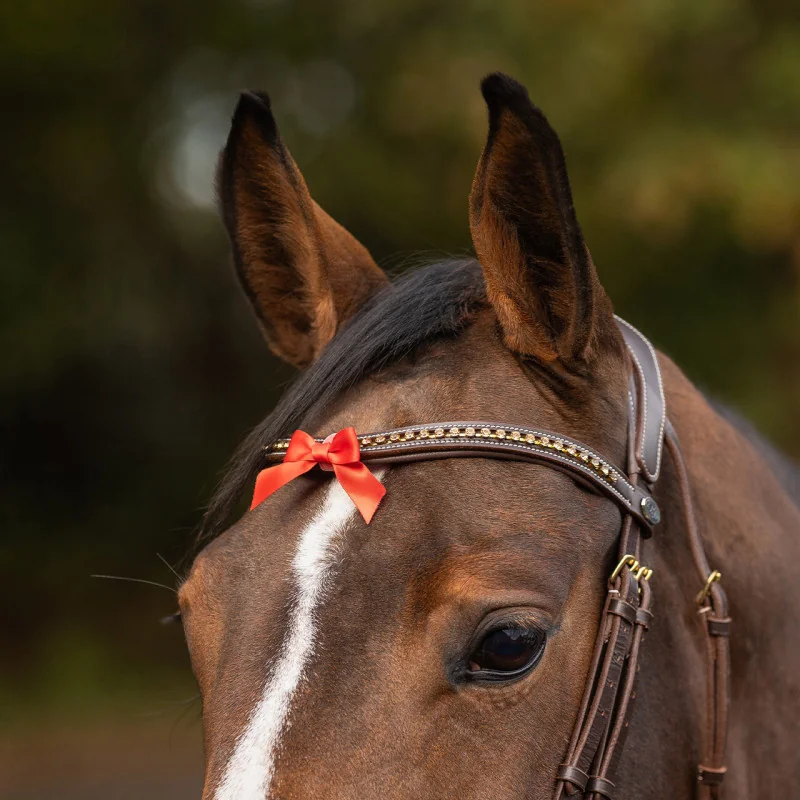 PETIT NOEUD ROUGE QHP