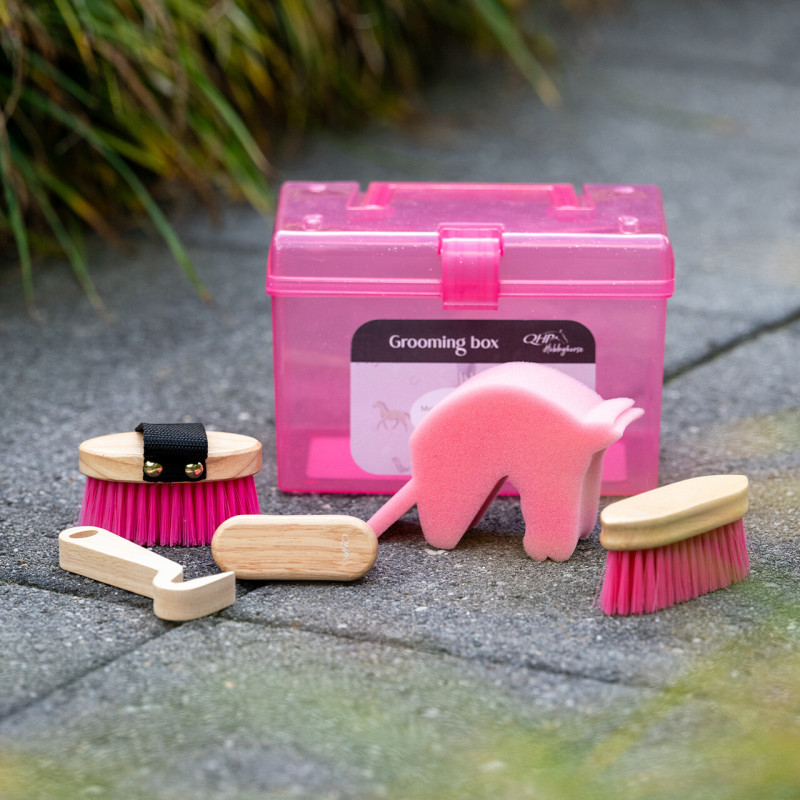 BOITE DE PANSAGE HOBBY HORSE QHP