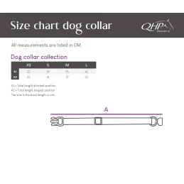 COLLIER CHIEN COLLECTION SS26 QHP