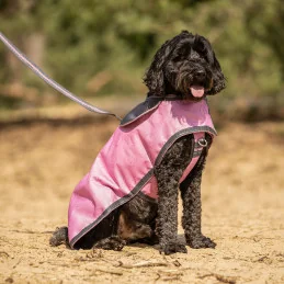 LAISSE CHIEN COLLECTION 1.50M QHP