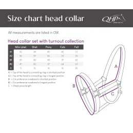 LICOL+LONGE SS26 QHP