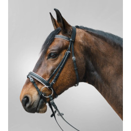 BRIDON DIAMOND STAR WALDHAUSEN