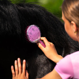 BROSSE A CRINS ROSALYNN CHEERY PINK QHP