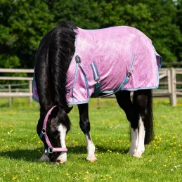 chemise rug bee rose qhp smiley