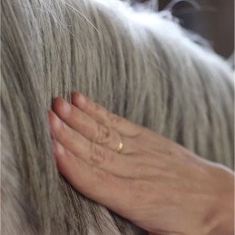 SERUM SUBLIME CRINS 50ML NELLUMBO