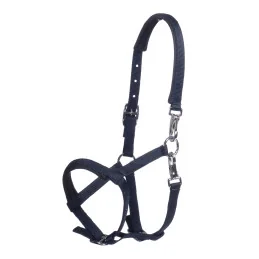 Balise Title : Licol Poulain Millie HKM | Évolutif & Confort | MCM