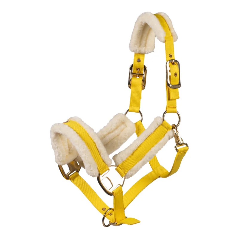 LICOL LIMONE ELEGANT LAURIA GARELLI