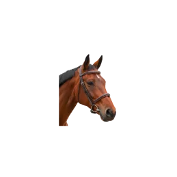 BRIDON BOMBE 1/2 ROND VAGABOND CANTER