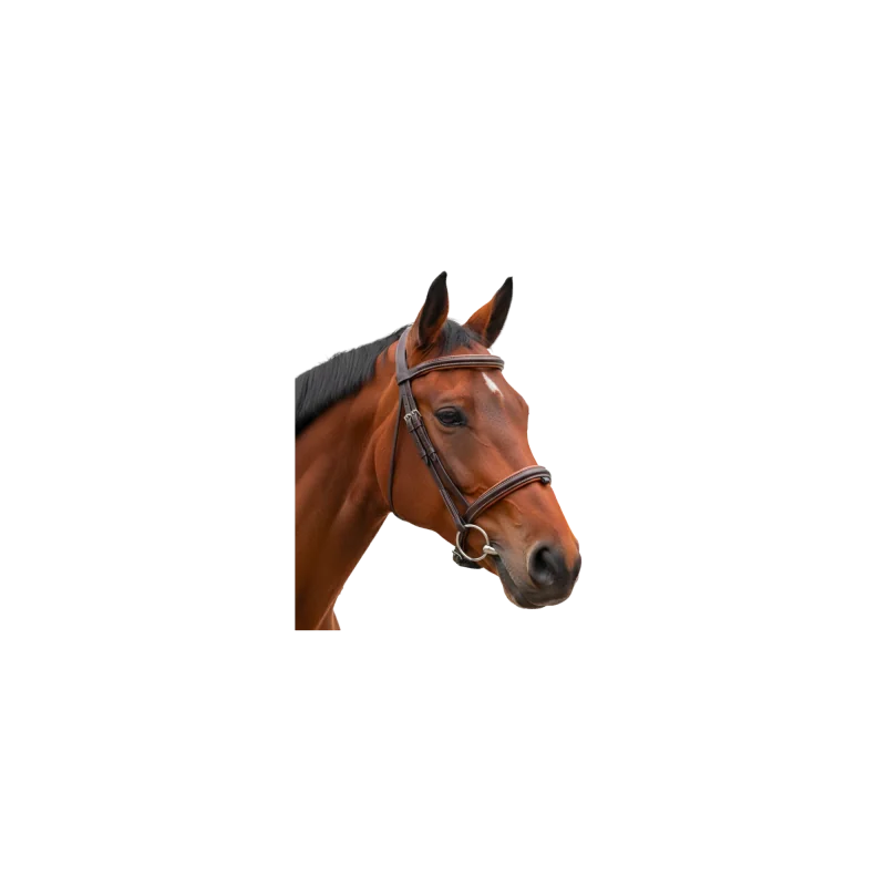 BRIDON BOMBE 1/2 ROND VAGABOND CANTER