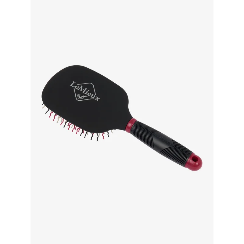 BROSSE A CRINS LEMIEUX