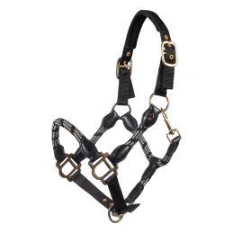 LICOL LIMONE SPORTIVE HKM