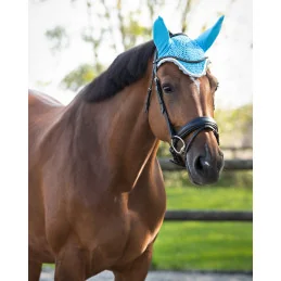 Bonnet à mouches coloré QHP | Du shetland au X-Full | Sellerie MCM