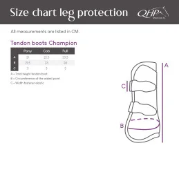 Guêtres Ouvertes Champion QHP | Protection Tendons & Style | MCM