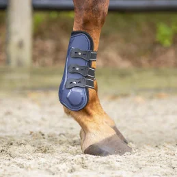 Guêtres Ouvertes Champion QHP | Protection Tendons & Style | MCM