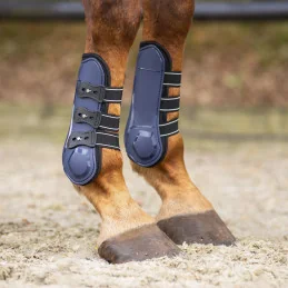 Guêtres Ouvertes Champion QHP | Protection Tendons & Style | MCM