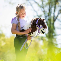 SET LICOL HOBBY HORSE QHP