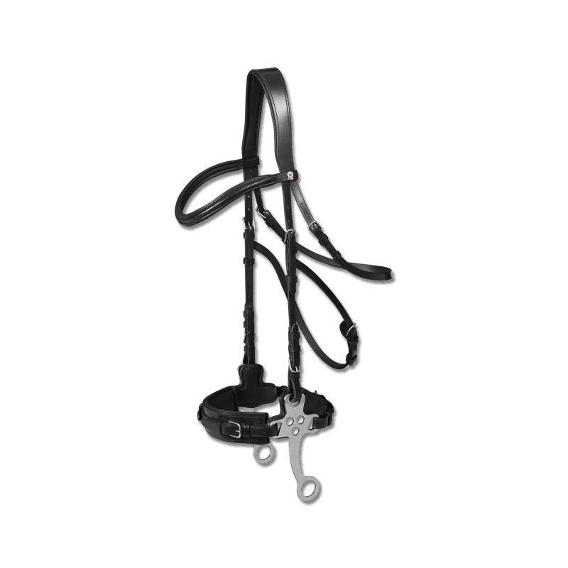 Bridon X-Line HACKAMORE par WALDHAUSEN