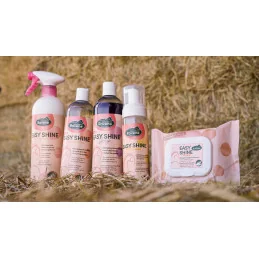 Shampooing Easy Shine Ravene | Brillance & Douceur | MCM