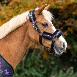 Set Licol et Longe Isalyn QHP | Motifs poney en ballon | MCM