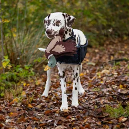 Jouet Chien Canard Écologique & Résistant | Matières Naturelles | MCM