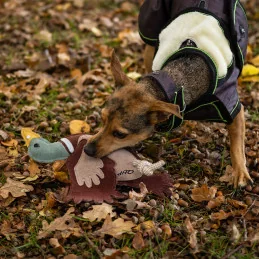 Jouet Chien Canard Écologique & Résistant | Matières Naturelles | MCM