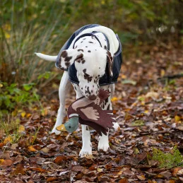 Jouet Chien Canard Écologique & Résistant | Matières Naturelles | MCM