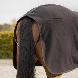 Couverture de Présentation Avenna QHP | Elégance et confort | MCM
