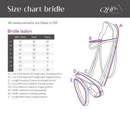 Bridon Cuir Poney Isalyn QHP | Cuir Verni & Strass | Sellerie MCM