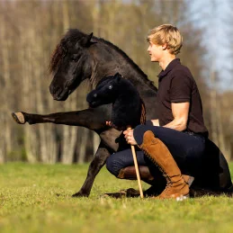 Hobby Horse Nalanta QHP Jesse Drent | Antares, Gaio, Macho | MCM