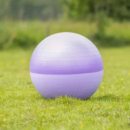 Ballon Bi-Colore Cheval & Poney QHP | Ballon Paddock | MCM