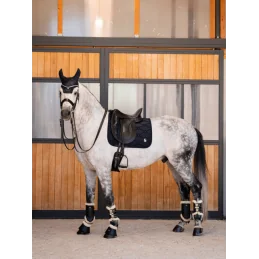 Tapis Spineshield Dressage Samshield | Ergonomique & Respirant | MCM