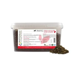 Phyto MEMBRES (circulatoire)