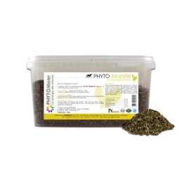 PHYTO MOBILITE (confort articulaire)