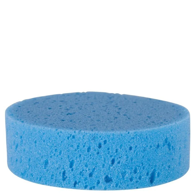 EPONGE RONDE BLEUE
