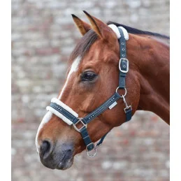 LICOL ELEGANT MOUTON WALD