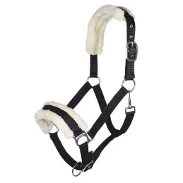 LICOL MOUTON TEDDY HKM