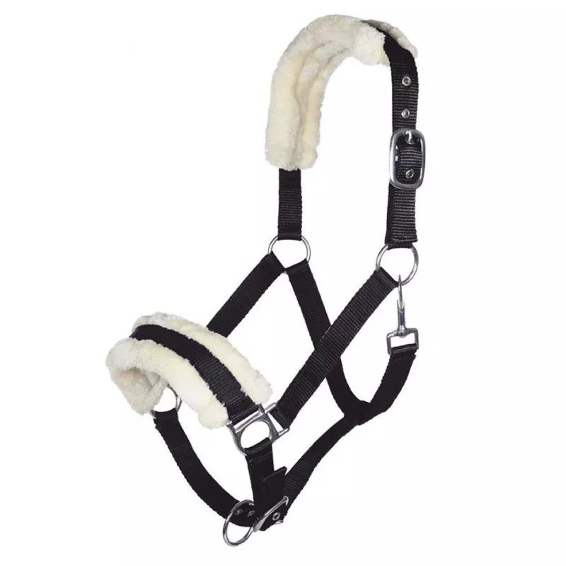 LICOL MOUTON TEDDY HKM