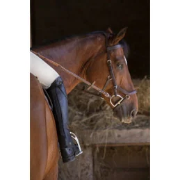 MINI CHAPS PREMIUM NOIR EQUITHEME