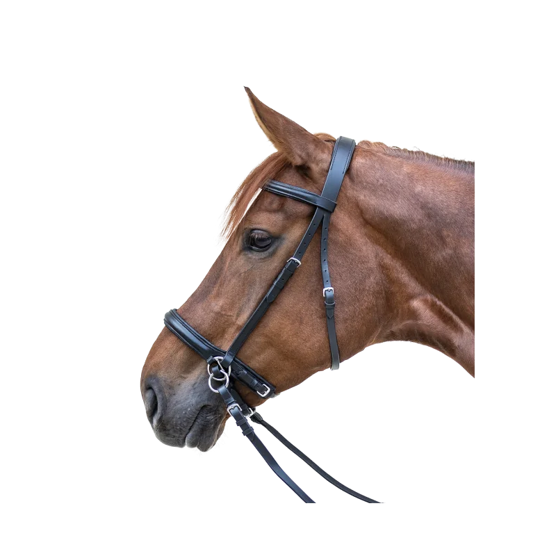 BRIDON BITLESS TWO STAR NOIR WALDHAUSEN