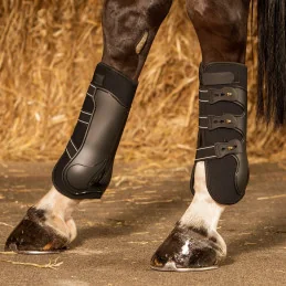 GUETRE GRAND PRIX ARRIERE HARRY HORSE