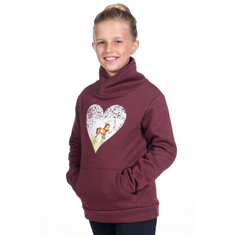 HOODIE DREAM TEAM BORDEAUX HKM