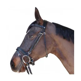 BRIDON CANTER EURO PULL BACK