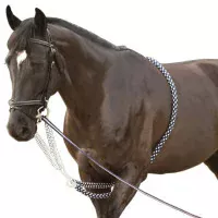 Travail à Pied Cheval | Longe, Longues Rênes & Caveçons | MCM