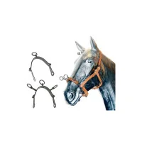 Caveçon cheval